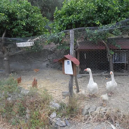 Turismo Rurale San Gaetano Farm stay
